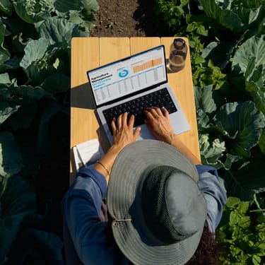 Persona trabajando con un MacBook en un entorno de consultoría Apple empresarial